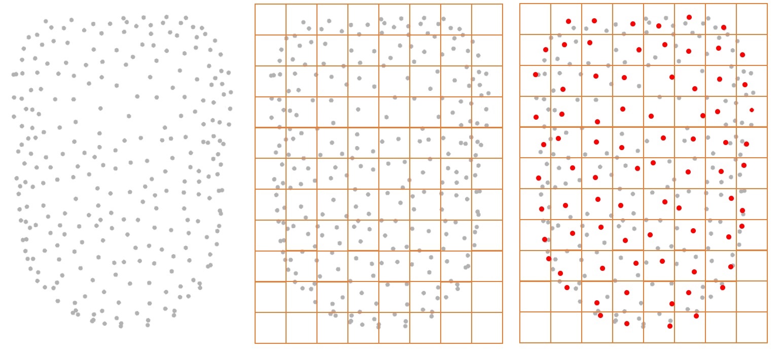 grid_sample_step