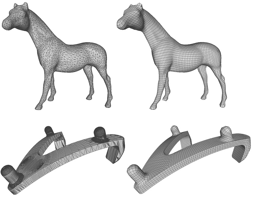quad_domain_horse_capsule